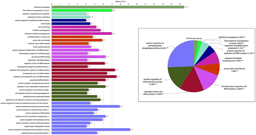 Kyoto Encyclopedia of Genes and Genomes (KEGG) pathway enrichment analysis of genes participating in fusions in T-cell acute lymphoblastic leukemia identified using ClueGO