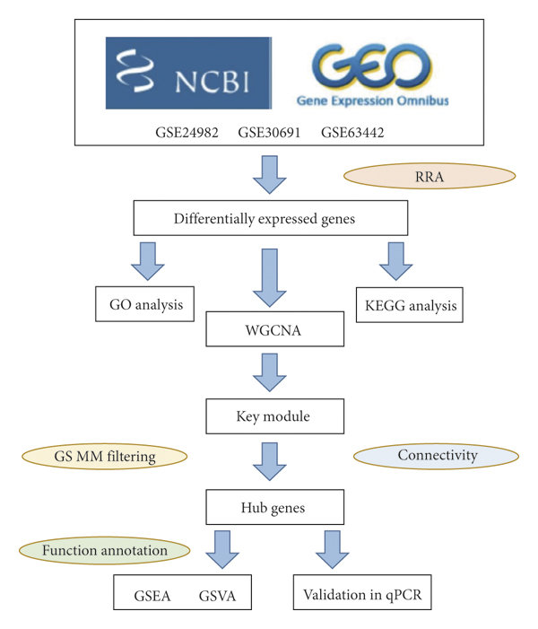 The workflow of our study. GEO, Gene Expression Omnibus