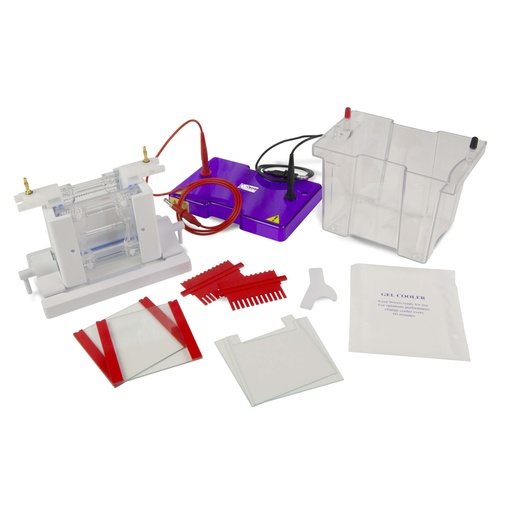 [Eletro3ks253] OmniPAGE Mini Dual Vertical Gel Electrophoresis Tank 10 x 10cm. Complete with 2 Sets of Glass Plates, 1mm Thick Bonded Spacers, 2 x 12 Sample, 1mm Thick Combs Including Caster. CLAMP VERSION
